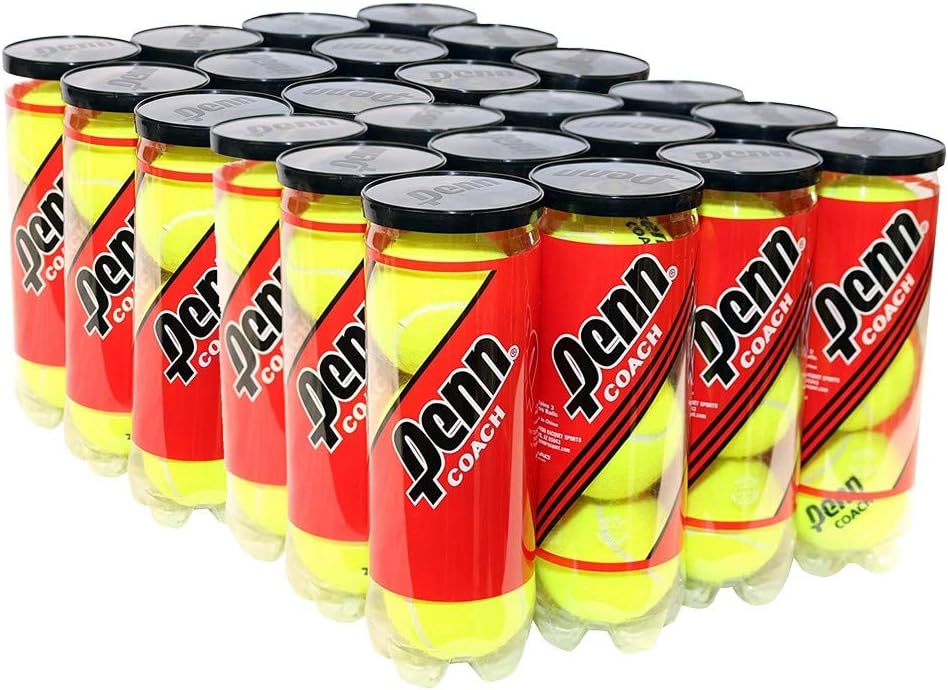 ETLOT Tennis Balls, 6 Pack Training Tennis Balls,High Elasticity Practice Balls for Beginner, Playing Balls for Dogs