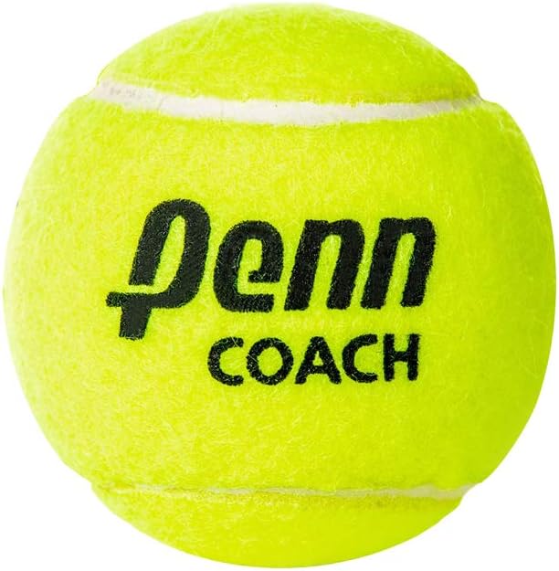 ETLOT Tennis Balls, 6 Pack Training Tennis Balls,High Elasticity Practice Balls for Beginner, Playing Balls for Dogs